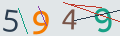 verifycode